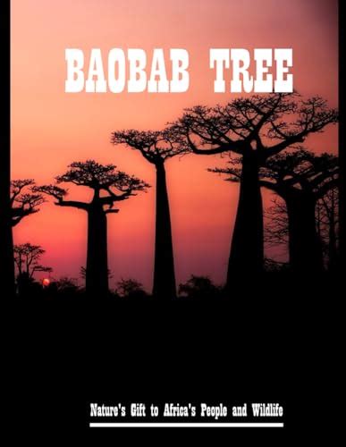  Underneath the Sunlit Baobab:  A Journey Through Ethiopian Folklore